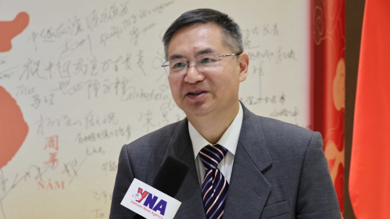 Prof. Dr. Cheng Hanping, Executive Director of the Institute for Regional and National Studies and Director of the Vietnam Studies Centre at Zhejiang University of Technology in China. (Photo: VNA)