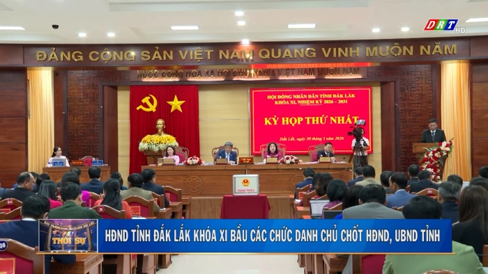 Thời sự 11h30 ngày 31/3/2026