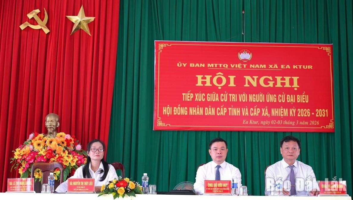 Các ứng cử viên 