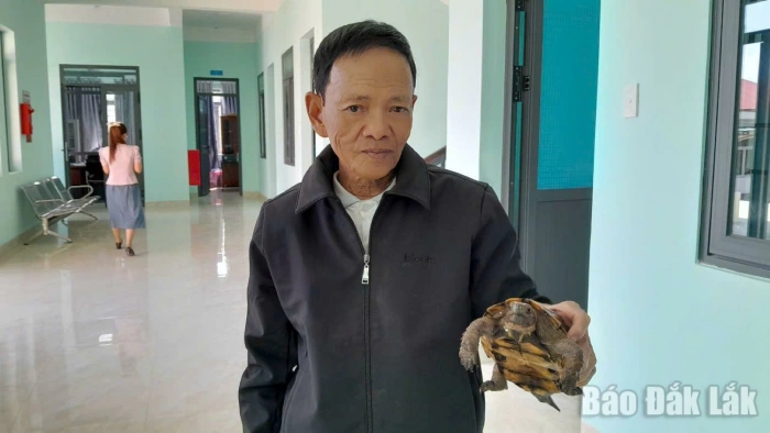 Thả cá thể rùa Sa Nhân quý hiếm về tự nhiên