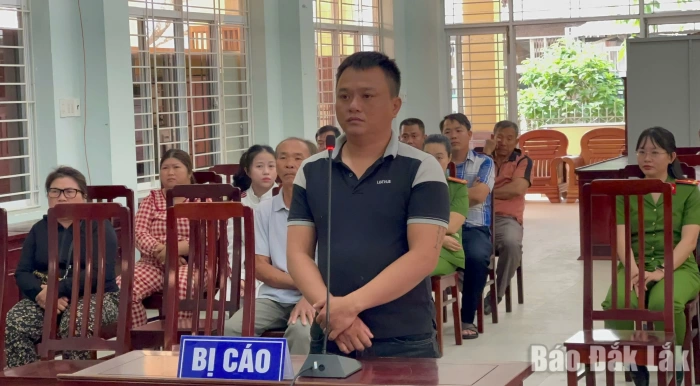 Xét xử lưu động vụ án thuyền trưởng tàu cá tổ chức cho người khác xuất cảnh trái phép Xét xử lưu động vụ án thuyền trưởng tàu cá tổ chức cho người khác xuất cảnh trái phép