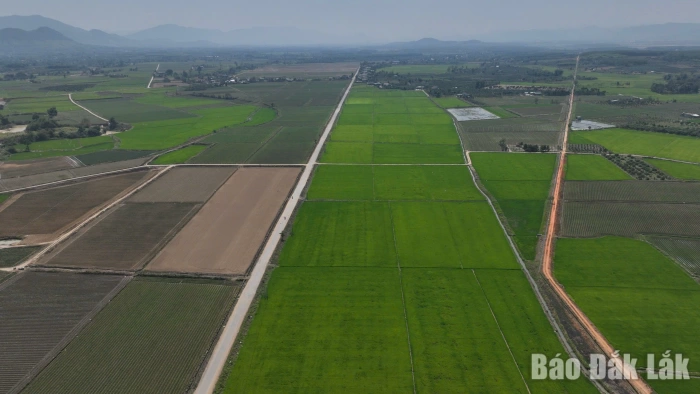 Nông nghiệp chính xác: Hướng đến nền nông nghiệp xanh, thông minh