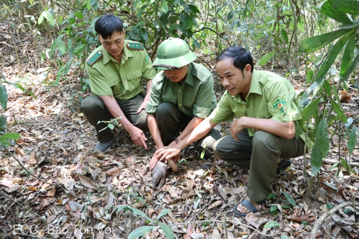 Thả 6 cá thể động vật hoang dã về với tự nhiên
