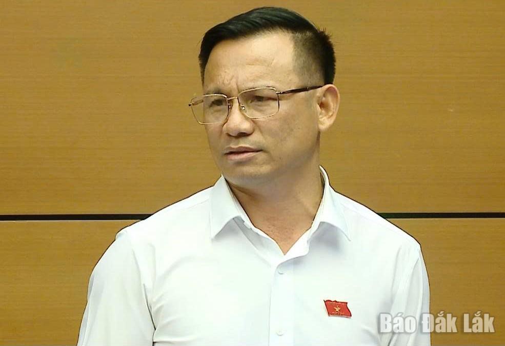 Đại biểu Trần Quang Tâm phát biểu thảo luận tại tổ. Ảnh chụp màn hình