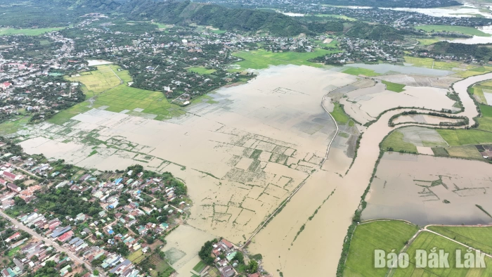Tìm lời giải cho vấn đề lũ lụt ở vựa lúa Krông Ana