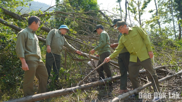 Cần sớm tăng cường nhân lực cho Ban Quản lý
rừng phòng hộ Sông Cầu
