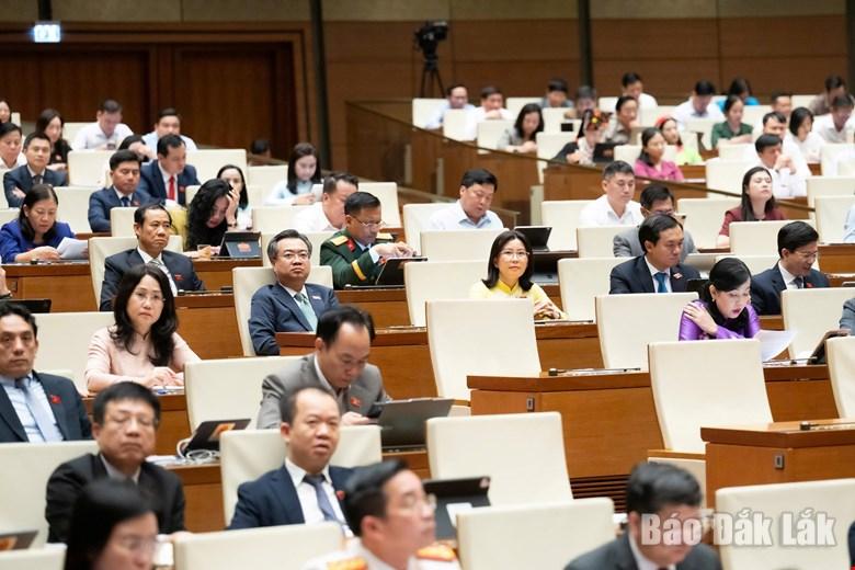 Đại biểu tham dự phiên thảo luận. Ảnh: Đoàn ĐBQH tỉnh cung cấp