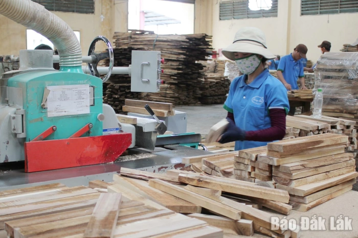 Tiết kiệm năng lượng: Mệnh lệnh từ thực tiễn