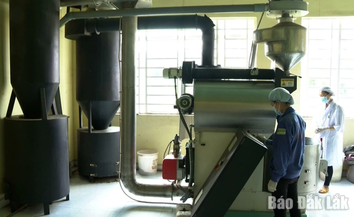 Cộng hưởng trách nhiệm từ doanh nghiệp và ngân hàng