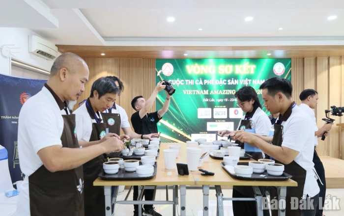 164 mẫu cà phê bước vào vòng sơ kết Cuộc thi Cà phê đặc sản Việt Nam 2026