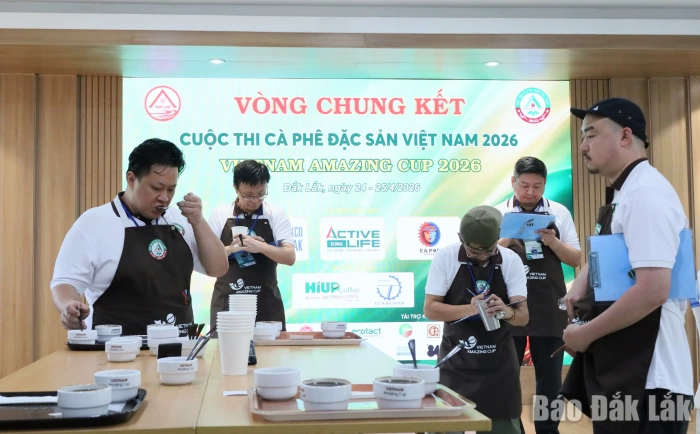 Vietnam Amazing Cup 2026: Định vị thương hiệu cà phê đặc sản Việt Nam