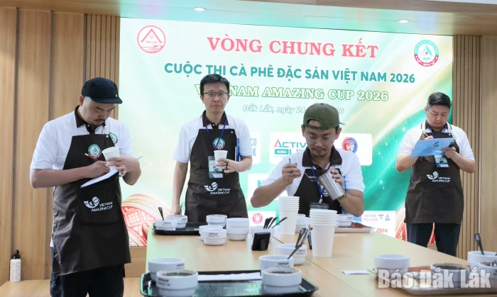 44 mẫu cà phê tiêu biểu bước vào vòng chung kết Cuộc thi Cà phê đặc sản Việt Nam 2026