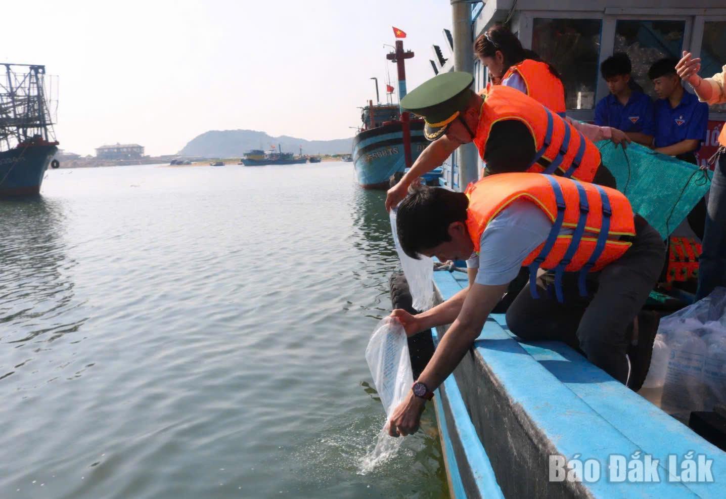 Tôm giống được thả xuống biển để tái tạo nguồn lợi thủy sản.