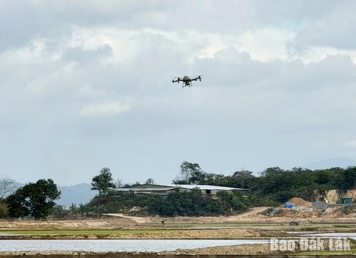 Hợp tác xã Thái Hải chuyển mình nhờ công nghệ