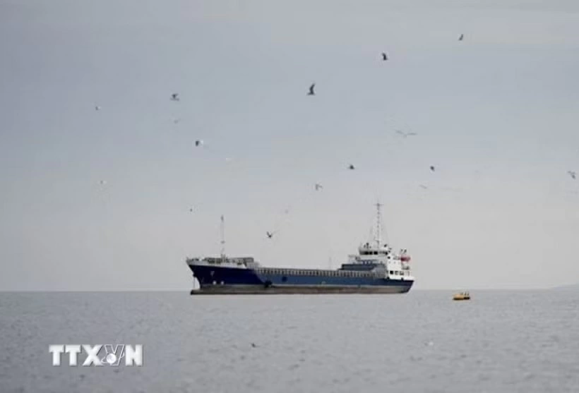 Tàu thủy di chuyển ở eo biển Hormuz, ngoài khơi tỉnh Musandam của Oman, ngày 12/4/2026. Ảnh: TTXVN