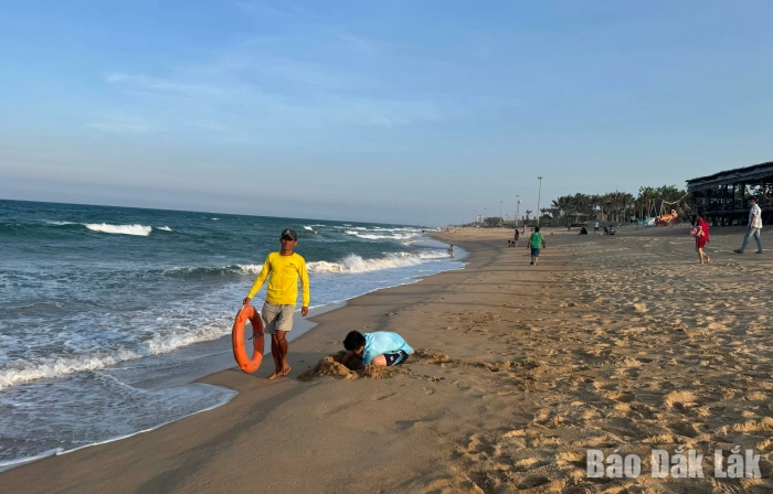 Chuyện những người cứu hộ trên bờ biển