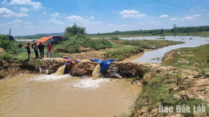 Cảnh báo El Nino cường độ mạnh: Đắk Lắk đối mặt nguy cơ hạn hán và thiếu hụt nguồn nước