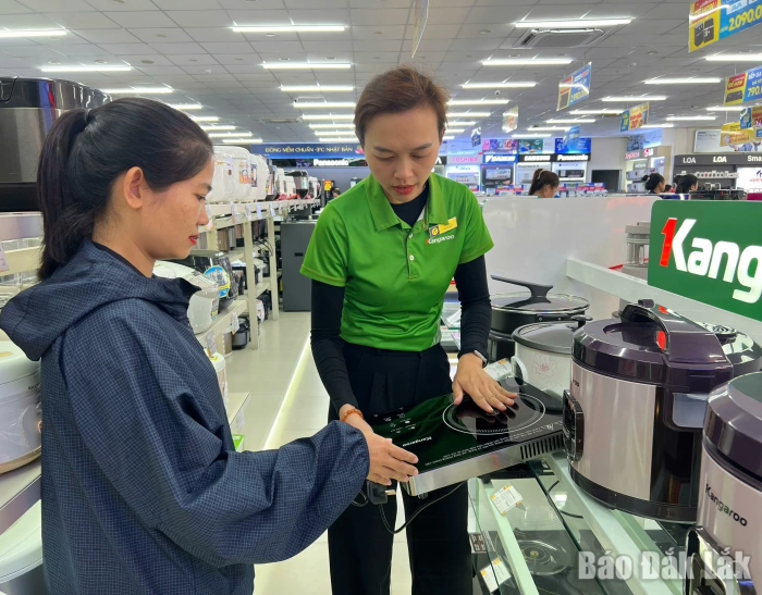 Giá gas, xăng dầu tăng cao: Thị trường tìm 