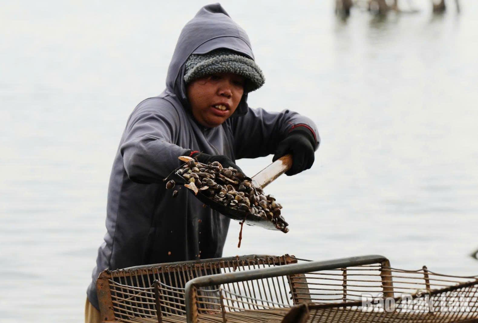 Ngoài những hộ dân làm nghề chuyên nghiệp thường xuyên, nhiều phụ nữ Êđê trong vùng ranh thủ lúc nông nhàn đi làm nghề hến để kiếm thêm thu nhập.