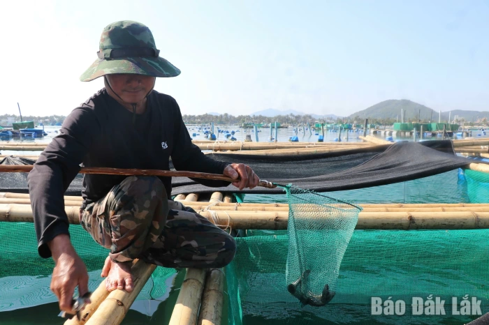 Chủ động giám sát, ngăn ngừa dịch bệnh thủy sản