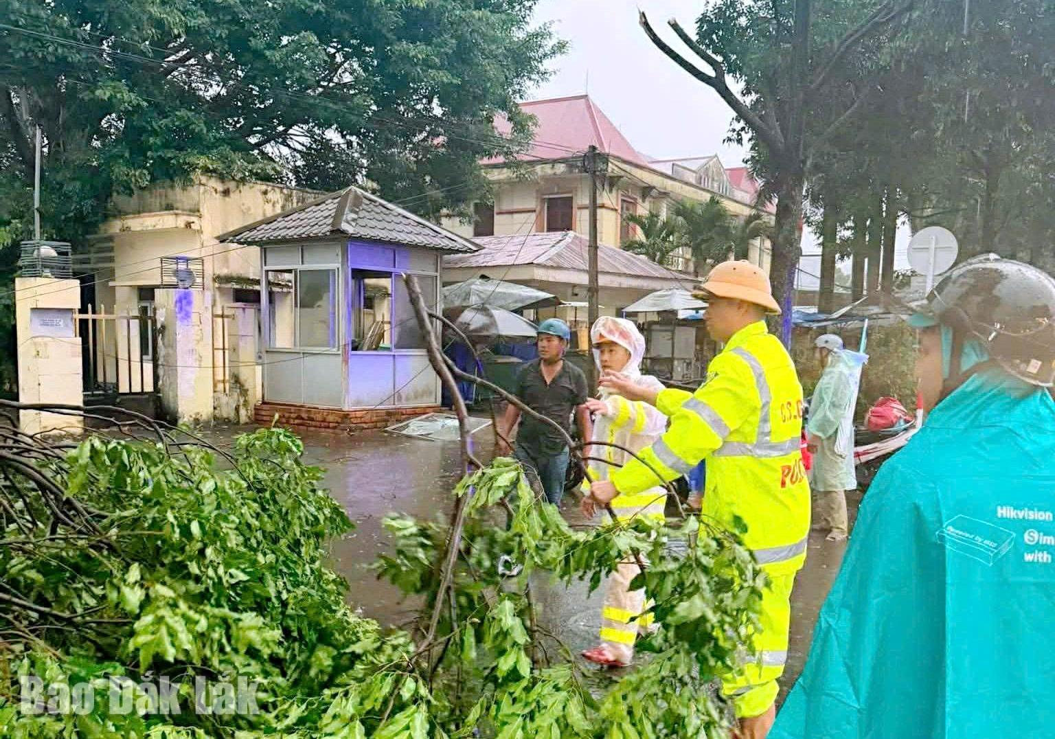 Lực lực chức năng xử lý cây đổ trên đường Nguyễn Tất Thành thuộc Quốc lộ 26, xã Ea Kar.