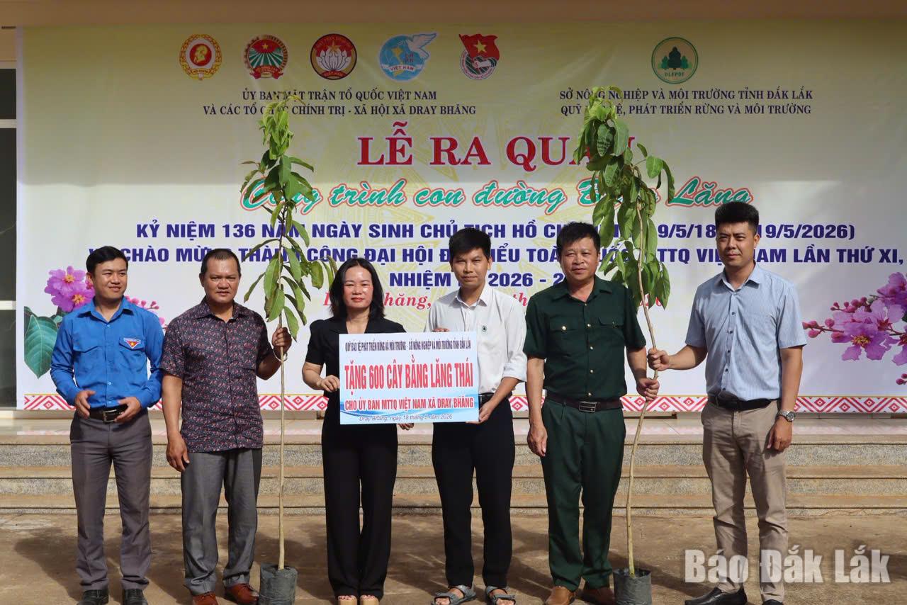 Quỹ Bảo vệ, Phát triển rừng và Môi trường tặng 600 cây bằng lăng thái cho xã Dray Bhăng.