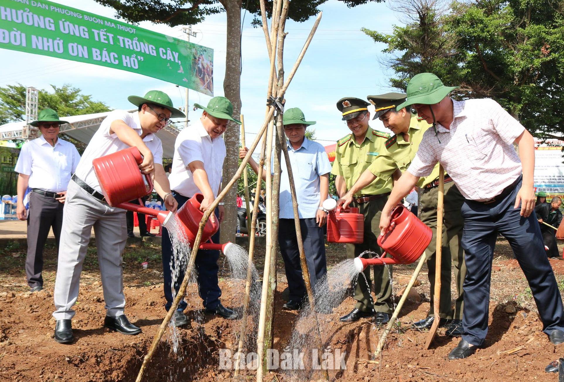 200 cây sao đen đã được trồng tại các địa điểm sinh hoạt cộng đồng trên địa bàn phường Buôn Ma Thuột.