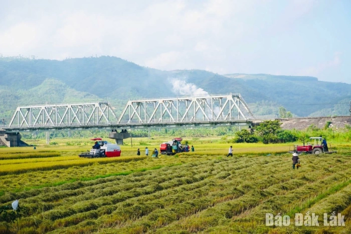 Đồng Xuân: Khơi thông điểm nghẽn để bứt tốc