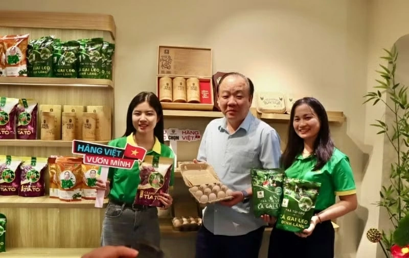 The Agency for Domestic Market Management and Development under the Ministry of Industry and Trade organises a supply-demand connectivity event to promote Vietnamese goods. (Photo: qdnd)