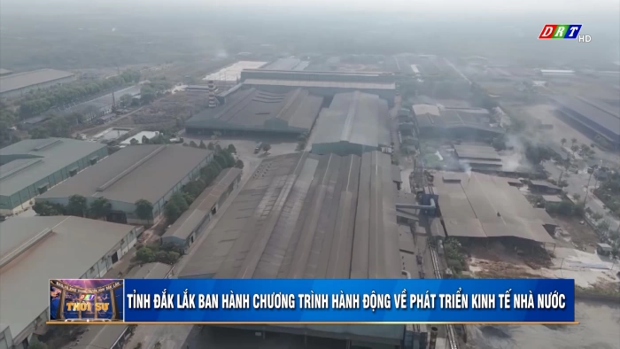 Thời sự 11h30 ngày 11/5/2026