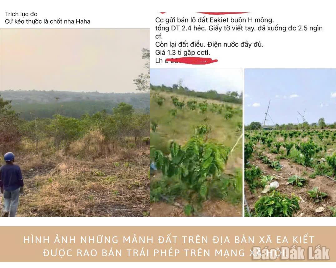Hình ảnh do UBND xã Ea Kiết cung cấp.