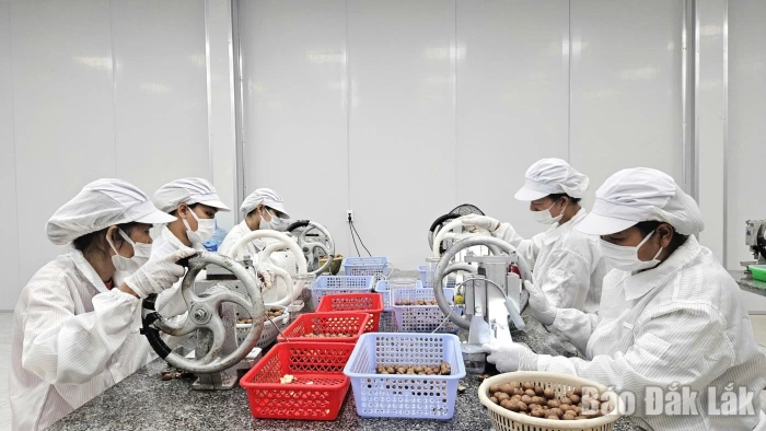 Định hình tương lai khởi nghiệp 