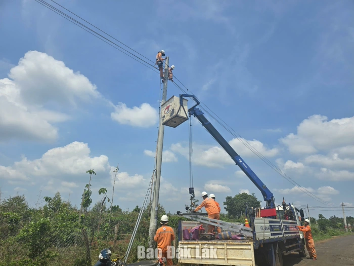 Cần hơn 254 tỷ đồng đầu tư lưới điện nông thôn giai đoạn 2026-2030
