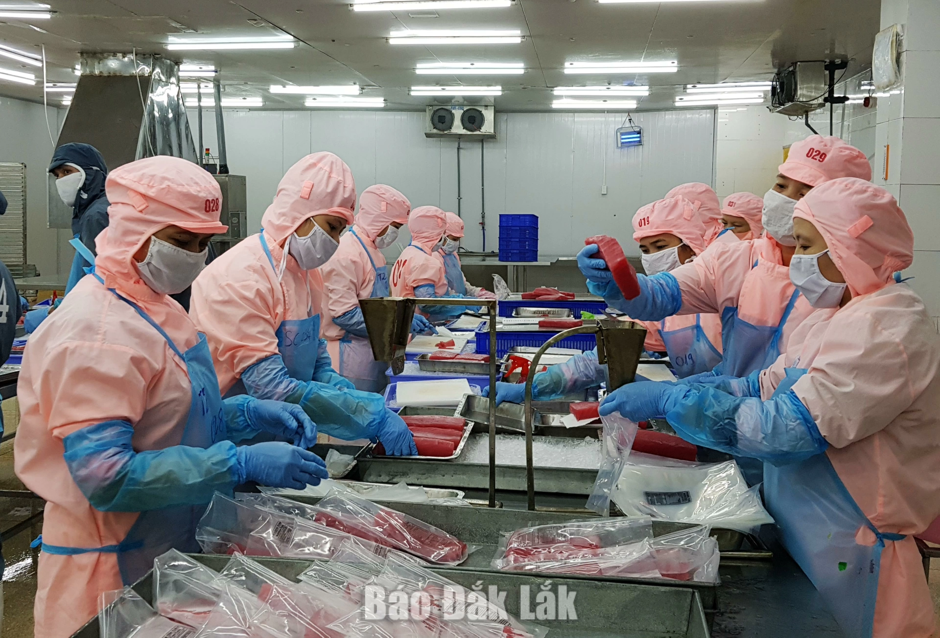Việc ban hành khung giá thuê nhà lưu trú công nhân trong khu công nghiệp nhằm khuyến khích phát triển nhà ở cho công nhân Doanh nghiệp kinh doanh kết cấu hạ tầng khu công nghiệp đầu tư xây
dựng nhà lưu trú công nhân trong khu công nghiệp