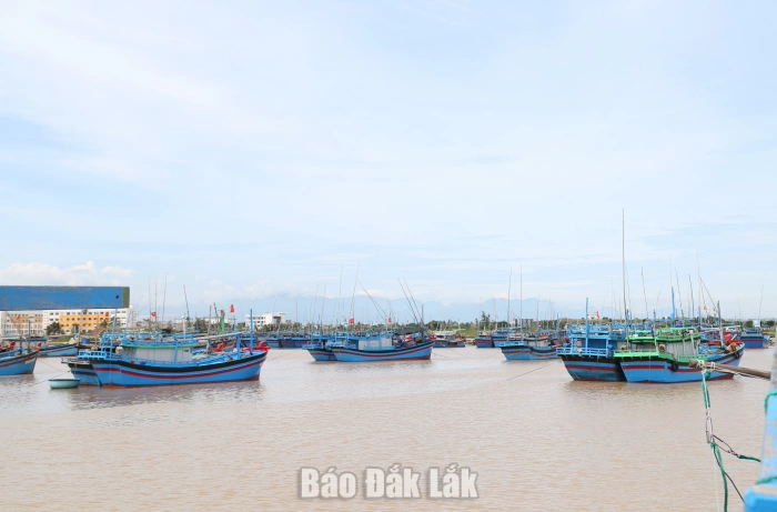 Đắk Lắk kiên quyết đình chỉ hoạt động cơ sở gây ô nhiễm biển