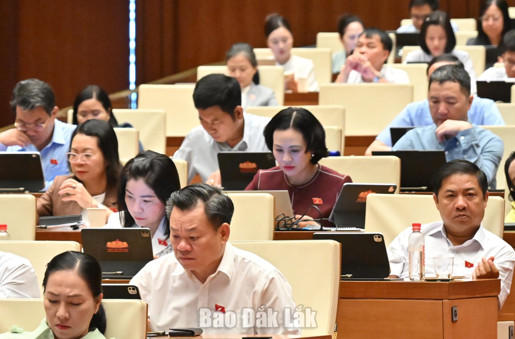 ĐBQH tỉnh Đắk Lắk tham dự phiên làm việc. Ảnh: Đoàn ĐBQH tỉnh cung cấp