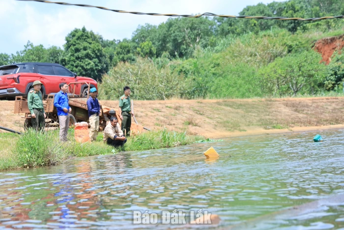 Hiệu quả mô hình 