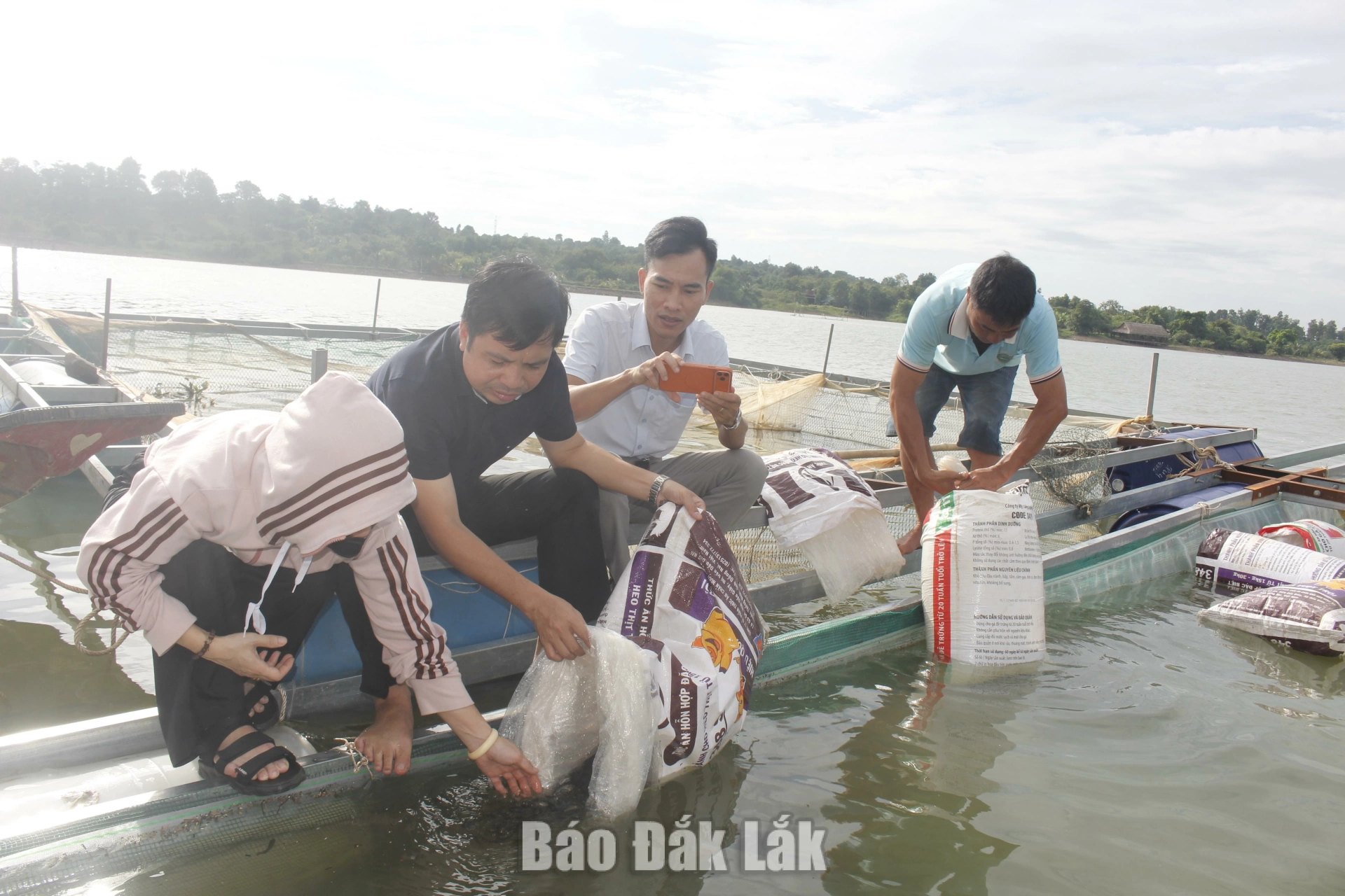 Bàn giao