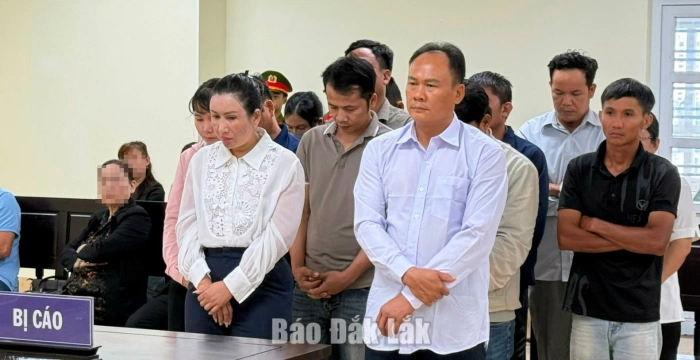 Sản xuất hàng giả, lãnh án thật