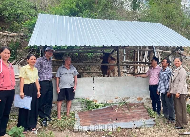 Households in Tuy An Dong Commune receive cattle under a breeding-cow project designed to help them escape poverty.