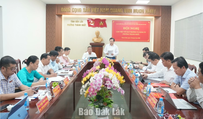 Đoàn Kiểm tra, giám sát số 235 làm việc với phường Thành Nhất