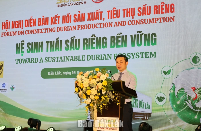 Chuyển mạnh từ tăng trưởng nhanh sang phát triển bền vững ngành hàng sầu riêng