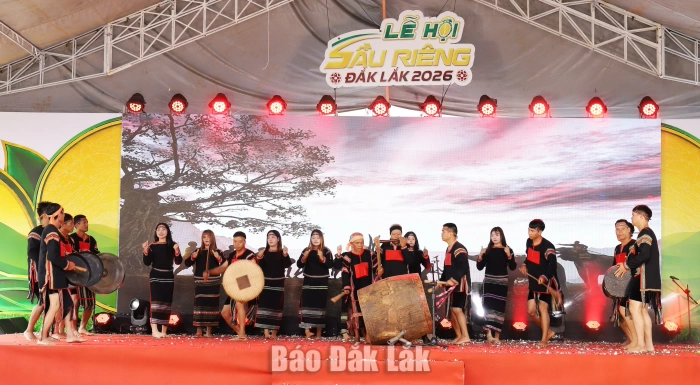 Krông Năng khai mạc chuỗi hoạt động hưởng ứng Lễ hội Sầu riêng Đắk Lắk năm 2026