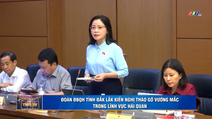 Thời sự 11h30 ngày 4/8/2026