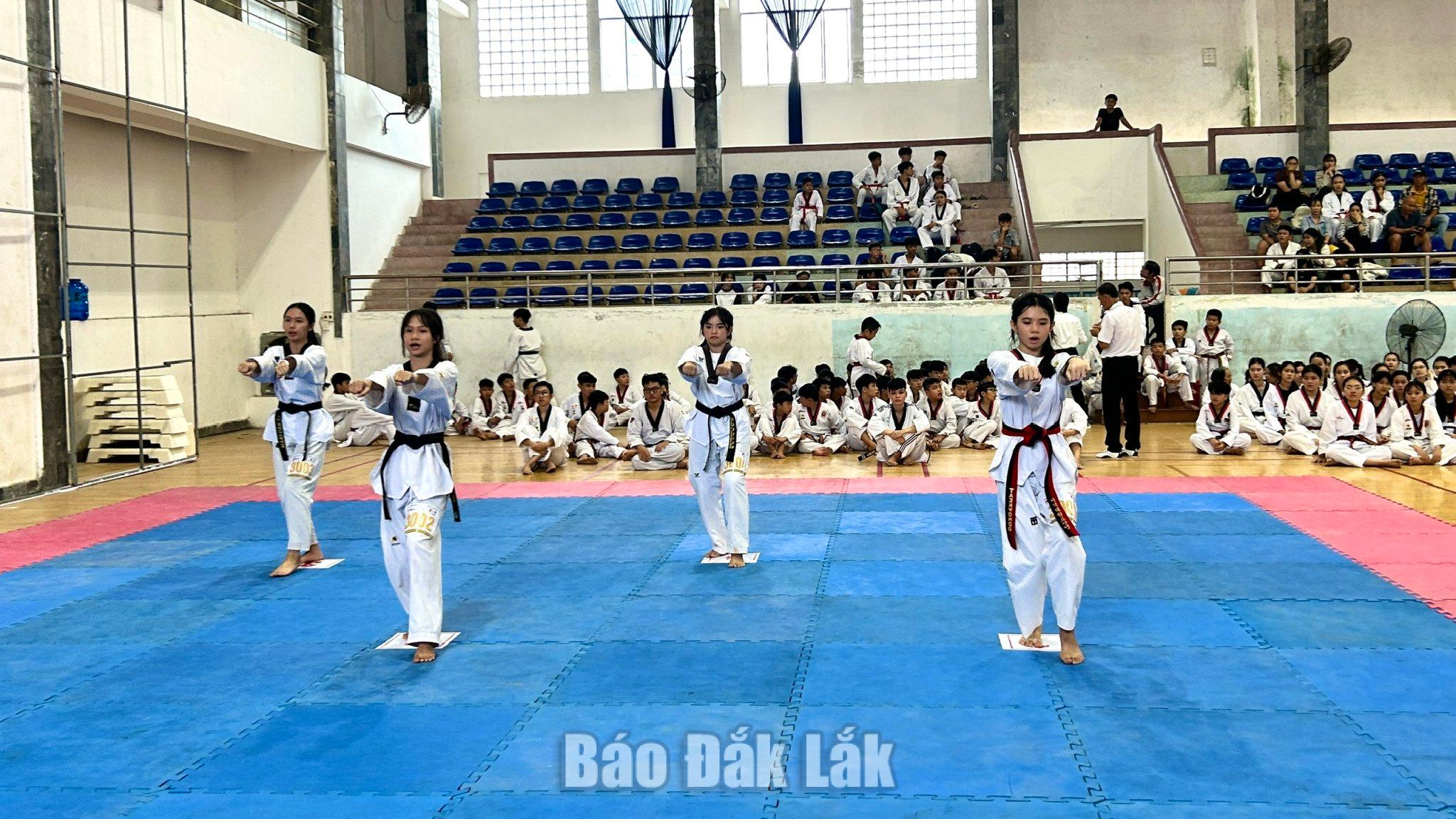 Các võ sinh thực hiện kỹ thuật tấn.