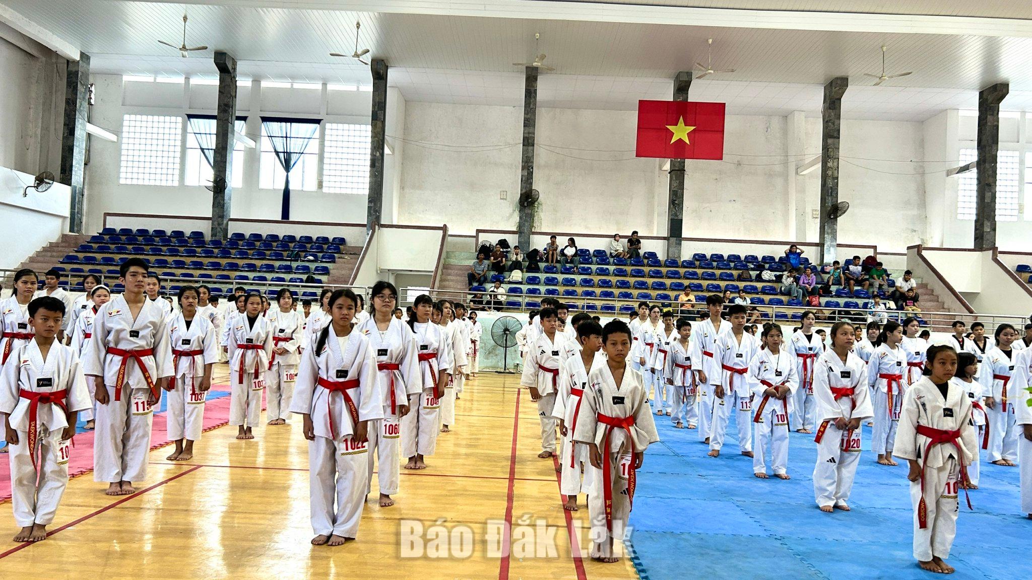 Đông đảo võ sinh tham gia Kỳ thi thẳn đẵng năm 2026.
