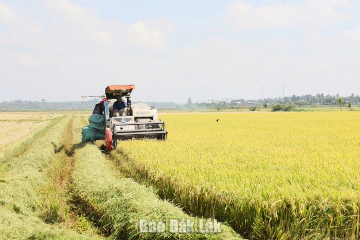 Xây dựng chiến lược phát triển thị trường bền vững
