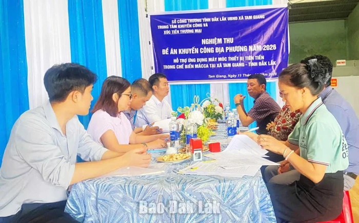 Đổi mới công nghệ chế biến sản phẩm mắc ca