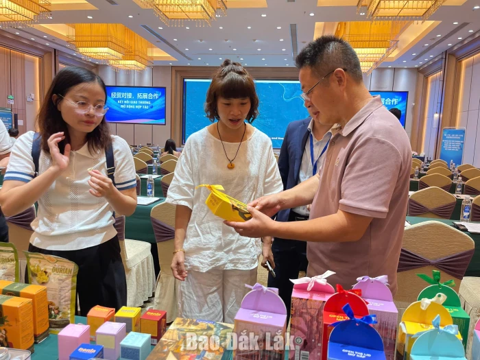 Kết nối giao thương giữa doanh nghiệp Đắk Lắk và Quảng Tây