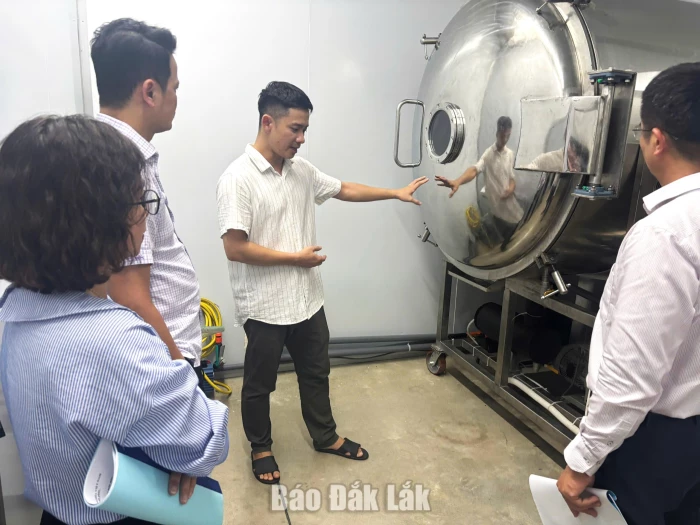 Hỗ trợ ứng dụng thiết bị tiên tiến trong chế biến quả bơ